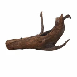 XXL Mangrovenwurzel Nr.7067 Holz Deko Aquascaping -Haus Dekoration Verkaufsgeschäft XXL Mangrovenwurzel Nr 7066Holz Deko Aquascaping 7067 4 30739