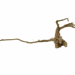 XL Moorkienwurzel Nr.2683 Holz Deko Aquascaping -Haus Dekoration Verkaufsgeschäft XXL Moorkienwurzel Nr 1794 Fingerwurzel Echtholz Deko Aquascaping 2683 4 25592