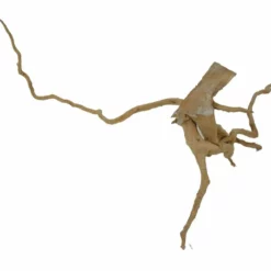 XL Moorkienwurzel Nr.2685 Holz Deko Aquascaping -Haus Dekoration Verkaufsgeschäft XXL Moorkienwurzel Nr 2684 Fingerwurzel Echtholz Deko Aquascaping 2685 2 25594