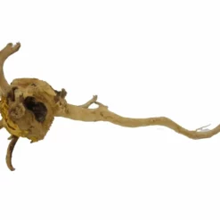 XL Moorkienwurzel Nr.2690 Holz Deko Aquascaping -Haus Dekoration Verkaufsgeschäft XXL Moorkienwurzel Nr 2689 Fingerwurzel Echtholz Deko Aquascaping 2690 2 25599