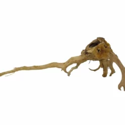 XL Moorkienwurzel Nr.2690 Holz Deko Aquascaping -Haus Dekoration Verkaufsgeschäft XXL Moorkienwurzel Nr 2689 Fingerwurzel Echtholz Deko Aquascaping 2690 3 25599