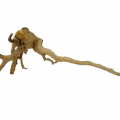 XL Moorkienwurzel Nr.2690 Holz Deko Aquascaping -Haus Dekoration Verkaufsgeschäft XXL Moorkienwurzel Nr 2689 Fingerwurzel Echtholz Deko Aquascaping 2690 4 25599