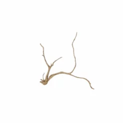 XL Moorkienwurzel Nr.5694 Holz Deko Aquascaping -Haus Dekoration Verkaufsgeschäft XXL Moorkienwurzel Nr 5693 Fingerwurzel Echtholz Deko Aquascaping 5694 3 29033