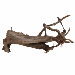 XXXL Mangrovenwurzel Nr.4359 Holz Deko Aquascaping -Haus Dekoration Verkaufsgeschäft XXXL Mangrovenwurzel Nr 4358 Holz Deko Aquascaping 4359 3 Kopie 27477