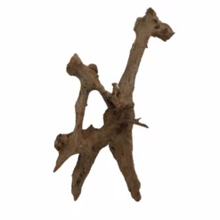 XXXL Mangrovenwurzel Nr.4362 Holz Deko Aquascaping -Haus Dekoration Verkaufsgeschäft XXXL Mangrovenwurzel Nr 4361 Holz Deko Aquascaping 4362 4 Kopie 27480