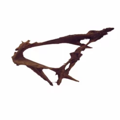 XXXL Mangrovenwurzel Nr.5973 Holz Deko Aquascaping -Haus Dekoration Verkaufsgeschäft XXXL Mangrovenwurzel Nr 5972 Holz Deko Aquascaping 5973 2 29370