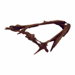 XXXL Mangrovenwurzel Nr.5973 Holz Deko Aquascaping -Haus Dekoration Verkaufsgeschäft XXXL Mangrovenwurzel Nr 5972 Holz Deko Aquascaping 7973 3 29370