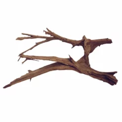 XXXL Mangrovenwurzel Nr.5975 Holz Deko Aquascaping -Haus Dekoration Verkaufsgeschäft XXXL Mangrovenwurzel Nr 5974 Holz Deko Aquascaping 7975 4 29372