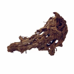 XXXL Mangrovenwurzel Nr.5984 Holz Deko Aquascaping -Haus Dekoration Verkaufsgeschäft XXXL Mangrovenwurzel Nr 5983 Holz Deko Aquascaping 7984 4 29381