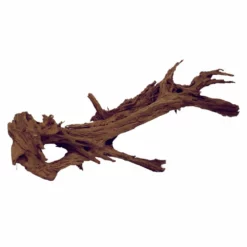 XXXL Mangrovenwurzel Nr.5986 Holz Deko Aquascaping -Haus Dekoration Verkaufsgeschäft XXXL Mangrovenwurzel Nr 5985 Holz Deko Aquascaping 7986 4 29383