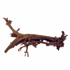 XXXL Mangrovenwurzel Nr.5989 Holz Deko Aquascaping -Haus Dekoration Verkaufsgeschäft XXXL Mangrovenwurzel Nr 5988 Holz Deko Aquascaping 7989 4 29386