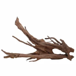 XXXL Mangrovenwurzel Nr.6989 Holz Deko Aquascaping -Haus Dekoration Verkaufsgeschäft XXXL Mangrovenwurzel Nr 6988 Holz Deko Aquascaping 6989 3 30565