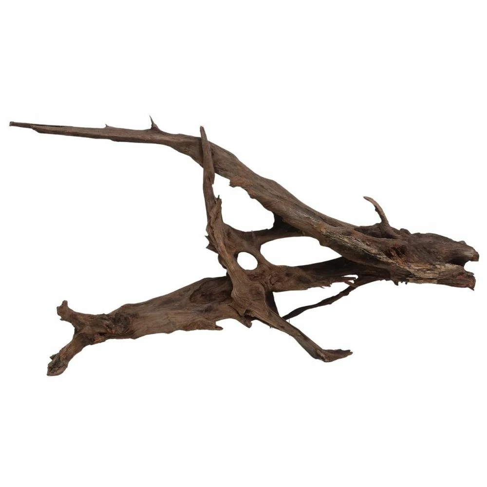 XXXL Mangrovenwurzel Nr.6993 Holz Deko Aquascaping 1 XXXL Mangrovenwurzel Nr.6993 Holz Deko Aquascaping