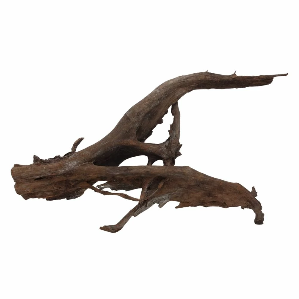 XXXL Mangrovenwurzel Nr.6993 Holz Deko Aquascaping 4 XXXL Mangrovenwurzel Nr.6993 Holz Deko Aquascaping – Bild 4