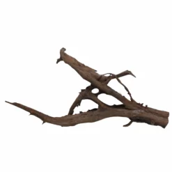 XXXL Mangrovenwurzel Nr.6993 Holz Deko Aquascaping 5 XXXL Mangrovenwurzel Nr.6993 Holz Deko Aquascaping -Haus Dekoration Verkaufsgeschäft XXXL Mangrovenwurzel Nr 6992 Holz Deko Aquascaping 6993 3 30569
