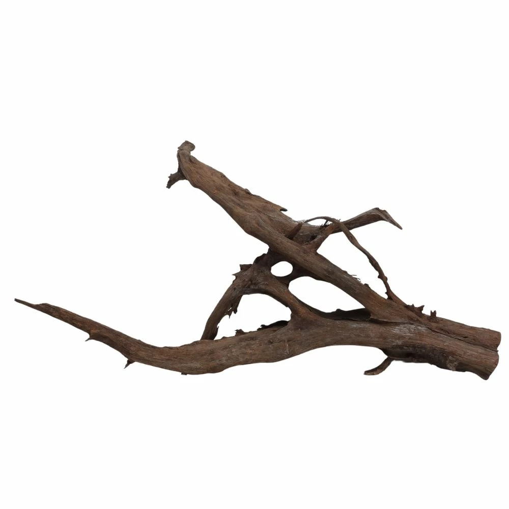 XXXL Mangrovenwurzel Nr.6993 Holz Deko Aquascaping 2 XXXL Mangrovenwurzel Nr.6993 Holz Deko Aquascaping – Bild 2