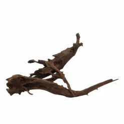 XXXL Mangrovenwurzel Nr.6993 Holz Deko Aquascaping 6 XXXL Mangrovenwurzel Nr.6993 Holz Deko Aquascaping -Haus Dekoration Verkaufsgeschäft XXXL Mangrovenwurzel Nr 6992 Holz Deko Aquascaping 6993 4 30569