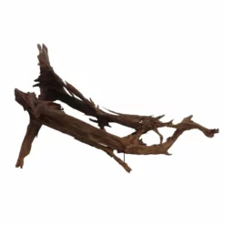 XXXL Mangrovenwurzel Nr.6994 Holz Deko Aquascaping -Haus Dekoration Verkaufsgeschäft XXXL Mangrovenwurzel Nr 6993 Holz Deko Aquascaping 6994 3 30570