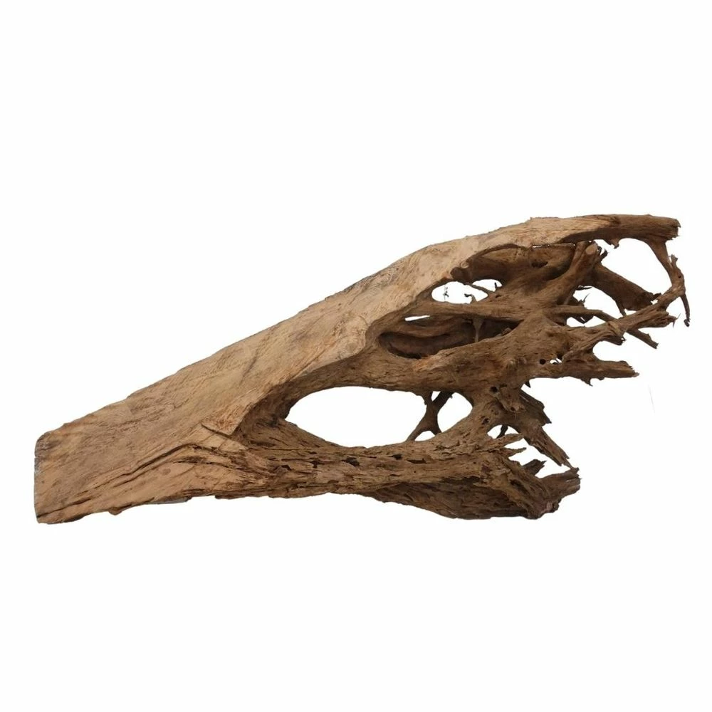 XXXL Mangrovenwurzel Nr.6997 Holz Deko Aquascaping 2 XXXL Mangrovenwurzel Nr.6997 Holz Deko Aquascaping – Bild 2