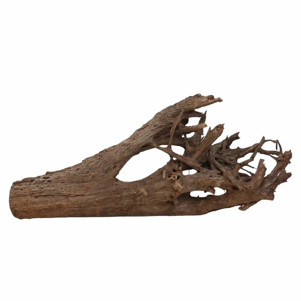 XXXL Mangrovenwurzel Nr.6997 Holz Deko Aquascaping 3 XXXL Mangrovenwurzel Nr.6997 Holz Deko Aquascaping – Bild 3