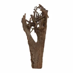 XXXL Mangrovenwurzel Nr.6997 Holz Deko Aquascaping 7 XXXL Mangrovenwurzel Nr.6997 Holz Deko Aquascaping -Haus Dekoration Verkaufsgeschäft XXXL Mangrovenwurzel Nr 6996 Holz Deko Aquascaping 6997 4 30573
