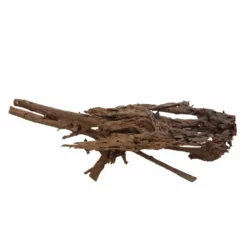 XXXL Mangrovenwurzel Nr.7000 Holz Deko Aquascaping 5 XXXL Mangrovenwurzel Nr.7000 Holz Deko Aquascaping -Haus Dekoration Verkaufsgeschäft XXXL Mangrovenwurzel Nr 6999 Holz Deko Aquascaping 7000 2 30576