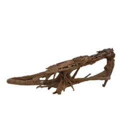 XXXL Mangrovenwurzel Nr.7000 Holz Deko Aquascaping 6 XXXL Mangrovenwurzel Nr.7000 Holz Deko Aquascaping -Haus Dekoration Verkaufsgeschäft XXXL Mangrovenwurzel Nr 6999 Holz Deko Aquascaping 7000 3 30576