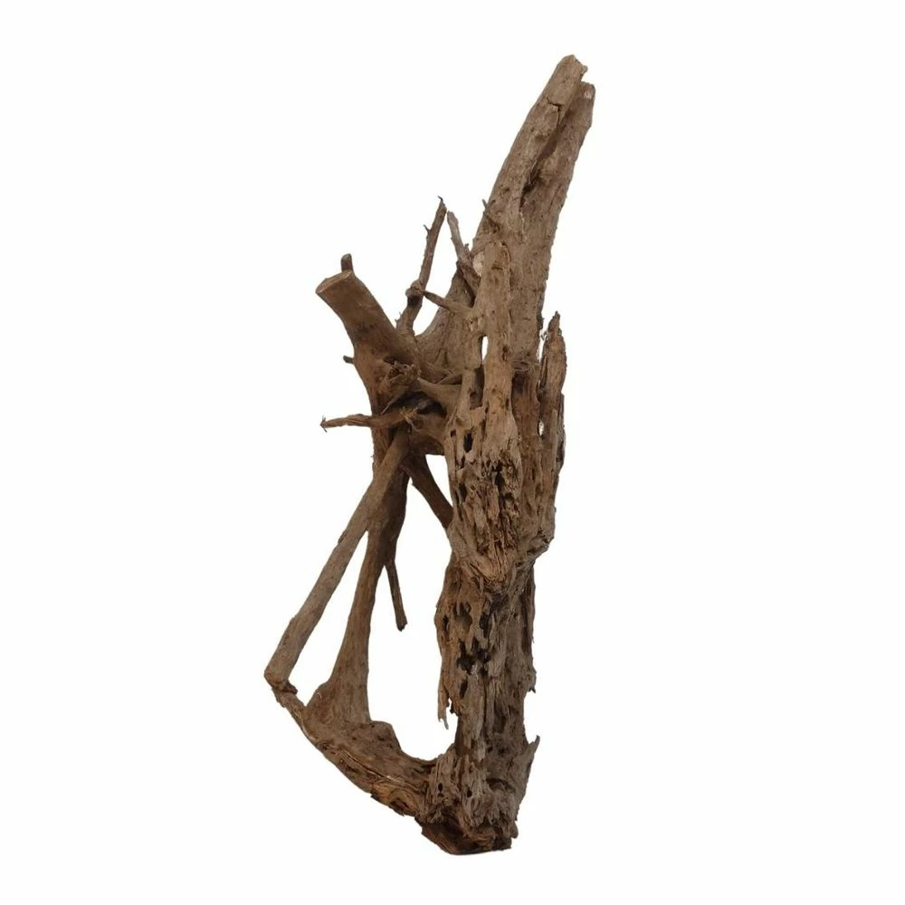 XXXL Mangrovenwurzel Nr.7000 Holz Deko Aquascaping 4 XXXL Mangrovenwurzel Nr.7000 Holz Deko Aquascaping – Bild 4