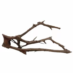 XXXL Mangrovenwurzel Nr.7002 Holz Deko Aquascaping 7 XXXL Mangrovenwurzel Nr.7002 Holz Deko Aquascaping -Haus Dekoration Verkaufsgeschäft XXXL Mangrovenwurzel Nr 7001 Holz Deko Aquascaping 7002 2 30578