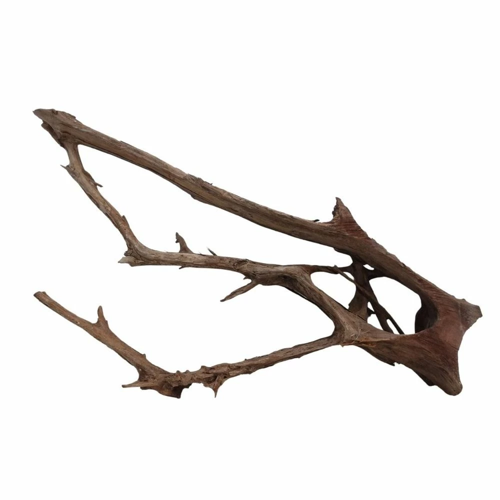 XXXL Mangrovenwurzel Nr.7002 Holz Deko Aquascaping 2 XXXL Mangrovenwurzel Nr.7002 Holz Deko Aquascaping – Bild 2
