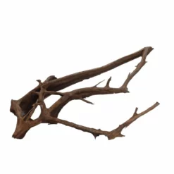 XXXL Mangrovenwurzel Nr.7002 Holz Deko Aquascaping 6 XXXL Mangrovenwurzel Nr.7002 Holz Deko Aquascaping -Haus Dekoration Verkaufsgeschäft XXXL Mangrovenwurzel Nr 7001 Holz Deko Aquascaping 7002 4 30578