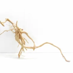 XXL Moorkienwurzel Nr.7295 Holz Deko Aquascaping -Haus Dekoration Verkaufsgeschäft XXXL Moorkienwurzel Masse 100x25x60 Nr 7294 7295 4