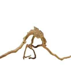 XXL Moorkienwurzel Nr.3221 Holz Deko Aquascaping