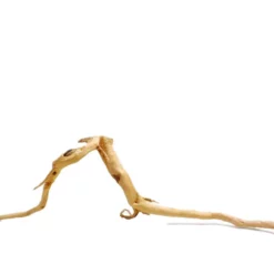 XXL Moorkienwurzel Nr.7327 Holz Deko Aquascaping