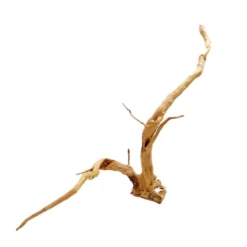 XXL Moorkienwurzel Nr.7327 Holz Deko Aquascaping -Haus Dekoration Verkaufsgeschäft XXXL Moorkienwurzel Masse 104x27x32 Nr 7327 7327 3 Kopie 19085