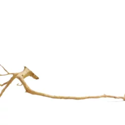 XXL Moorkienwurzel Nr.7328 Holz Deko Aquascaping -Haus Dekoration Verkaufsgeschäft XXXL Moorkienwurzel Masse 115x22x31 Nr 7328 7328 2 Kopie 19086