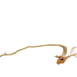 XXL Moorkienwurzel Nr.7328 Holz Deko Aquascaping -Haus Dekoration Verkaufsgeschäft XXXL Moorkienwurzel Masse 115x22x31 Nr 7328 7328 3 Kopie 19086