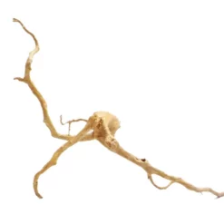 XXL Moorkienwurzel Nr.7271 Holz Deko Aquascaping