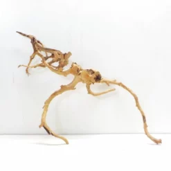 XXL Moorkienwurzel Nr.7306 Holz Deko Aquascaping -Haus Dekoration Verkaufsgeschäft XXXL Moorkienwurzel Masse 83x35x45 Nr 7305 7306 3 1