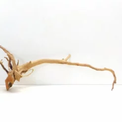 XXL Moorkienwurzel Nr.7301 Holz Deko Aquascaping -Haus Dekoration Verkaufsgeschäft XXXL Moorkienwurzel Masse 86x21x58 Nr 7300 7301 2 1