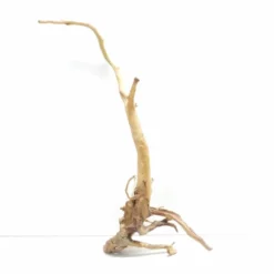 XXL Moorkienwurzel Nr.7301 Holz Deko Aquascaping -Haus Dekoration Verkaufsgeschäft XXXL Moorkienwurzel Masse 86x21x58 Nr 7300 7301 3 1