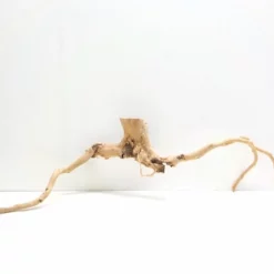 XXL Moorkienwurzel Nr.7269 Holz Deko Aquascaping -Haus Dekoration Verkaufsgeschäft XXXL Moorkienwurzel Masse 90x24x32 Nr 7268 7269 2 1