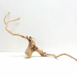 XXL Moorkienwurzel Nr.7269 Holz Deko Aquascaping -Haus Dekoration Verkaufsgeschäft XXXL Moorkienwurzel Masse 90x24x32 Nr 7268 7269 3 1