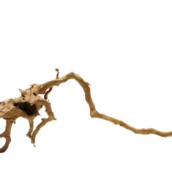 XXL Moorkienwurzel Nr.3201 Holz Deko Aquascaping