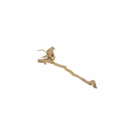 XXL Moorkienwurzel Nr.5040 Holz Deko Aquascaping -Haus Dekoration Verkaufsgeschäft XXXL Moorkienwurzel Nr 5039 Holz Deko Aquascaping 5040 5 28325