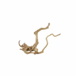 XXL Moorkienwurzel Nr.5041 Holz Deko Aquascaping -Haus Dekoration Verkaufsgeschäft XXXL Moorkienwurzel Nr 5039 Holz Deko Aquascaping 5041 2 28327