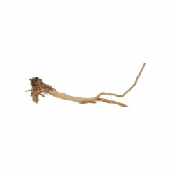 XXL Moorkienwurzel Nr.5042 Holz Deko Aquascaping -Haus Dekoration Verkaufsgeschäft XXXL Moorkienwurzel Nr 5041 Holz Deko Aquascaping 5042 4 28328