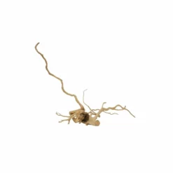 XXL Moorkienwurzel Nr.5048 Holz Deko Aquascaping -Haus Dekoration Verkaufsgeschäft XXXL Moorkienwurzel Nr 5047 Holz Deko Aquascaping 5048 4 28336