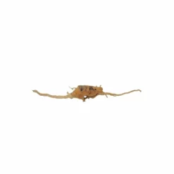 XXL Moorkienwurzel Nr.5051 Holz Deko Aquascaping -Haus Dekoration Verkaufsgeschäft XXXL Moorkienwurzel Nr 5049 Holz Deko Aquascaping 5051 4 28340