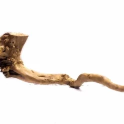 XXL Moorkienwurzel Nr.9155 Holz Deko Aquascaping